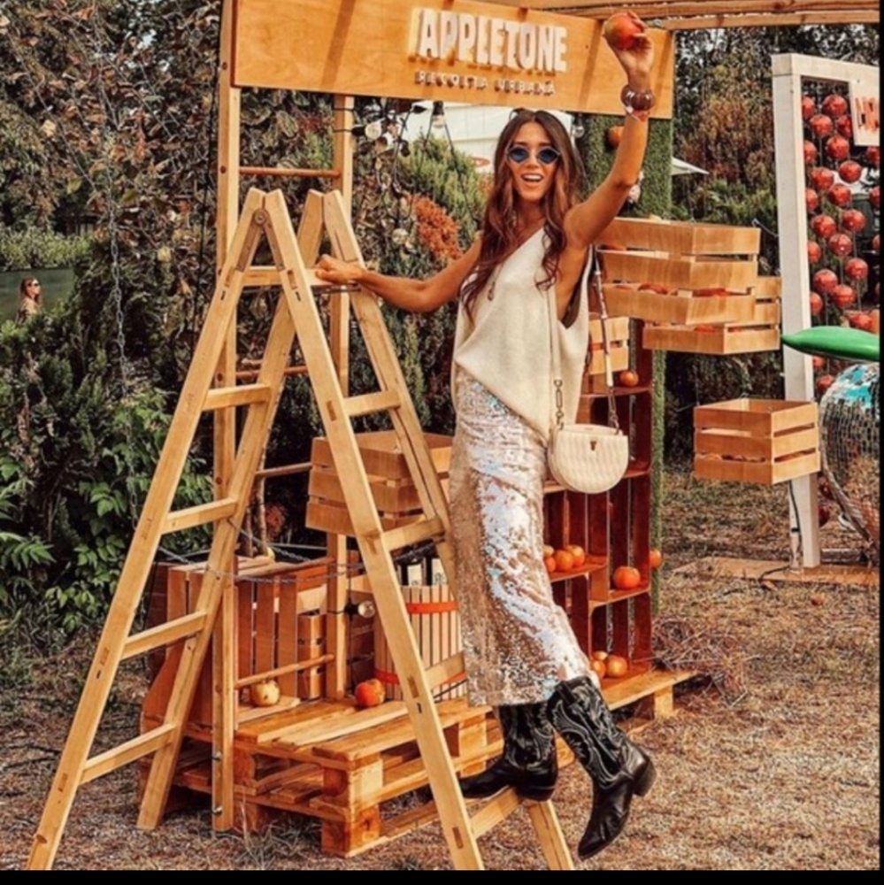 NWT Zara Midi Sequin Pencil Skirt